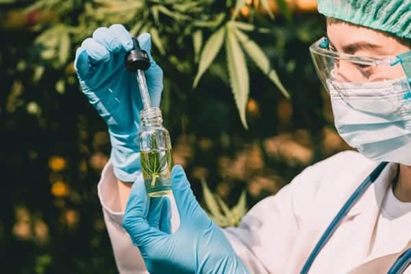 Cbd-production