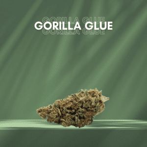 Gorilla Glue