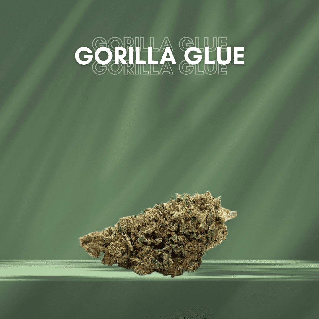 Gorilla glue