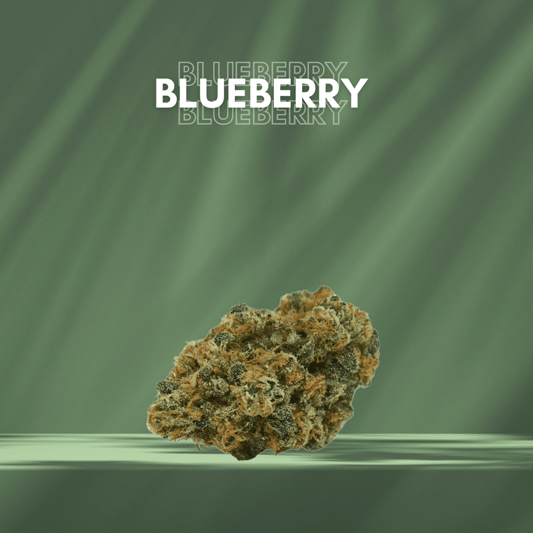 Blueberry